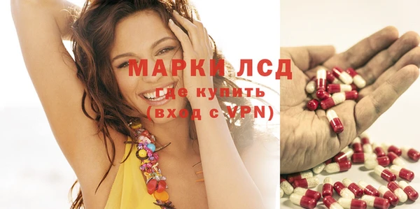 прущие грибы Богданович