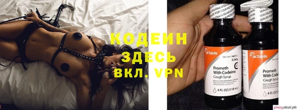 прущие грибы Богданович