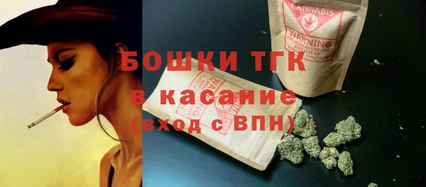 прущие грибы Богданович