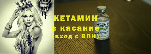 прущие грибы Богданович