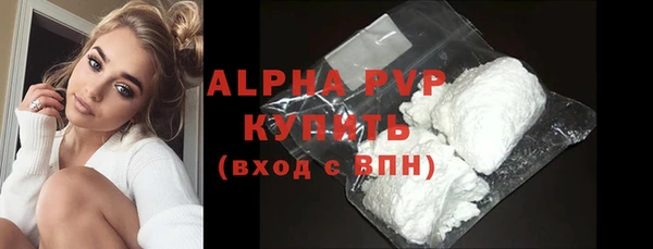 прущие грибы Богданович